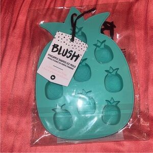 NWT Blush pineapple shaped ice mold